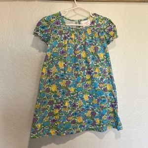 Hanna andersson tunic dress